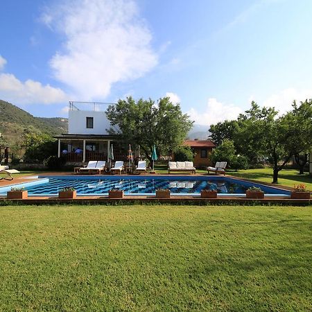 Bal Badem Bungalow Datça Ngoại thất bức ảnh