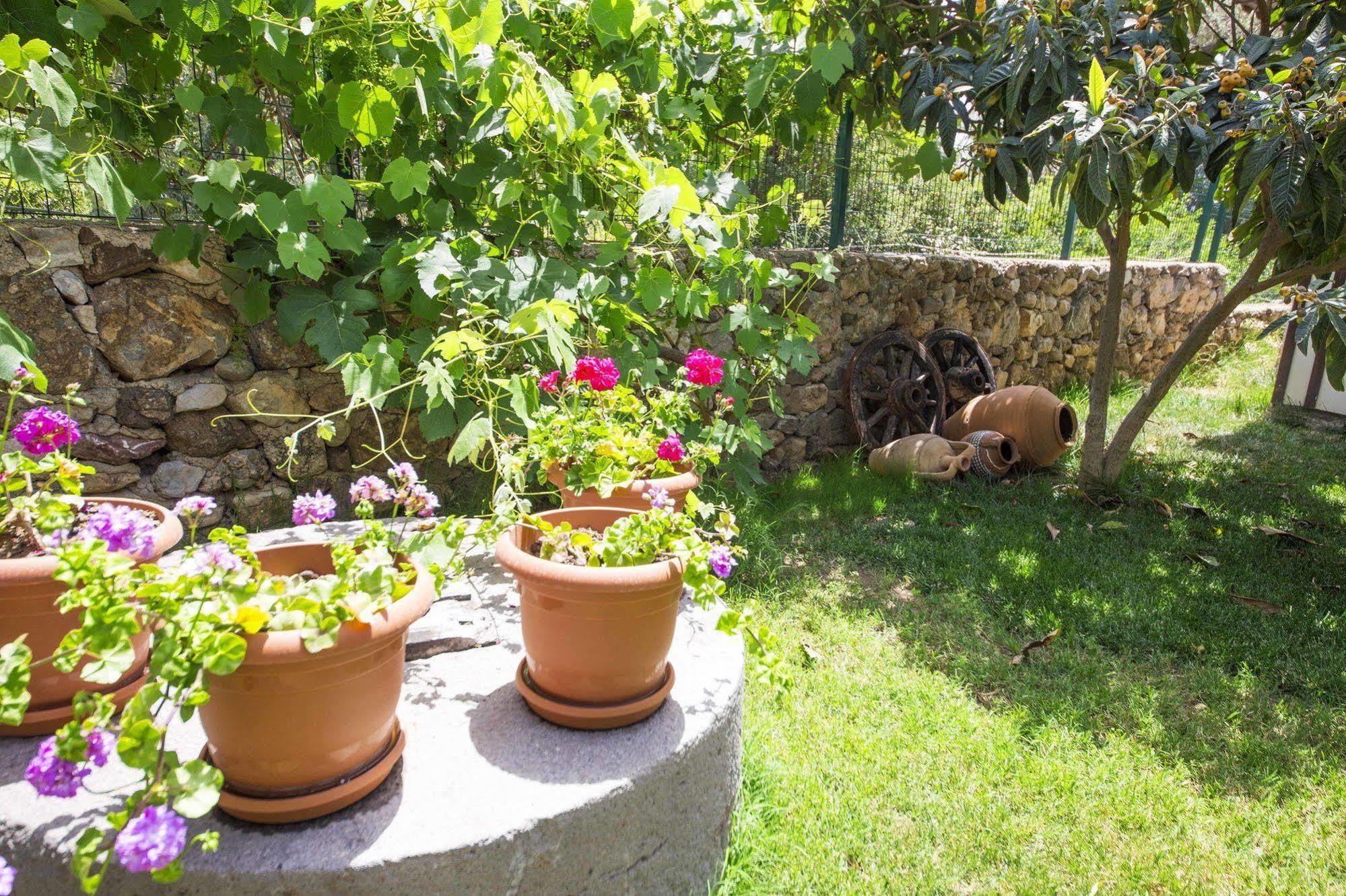 Bal Badem Bungalow Datça Ngoại thất bức ảnh