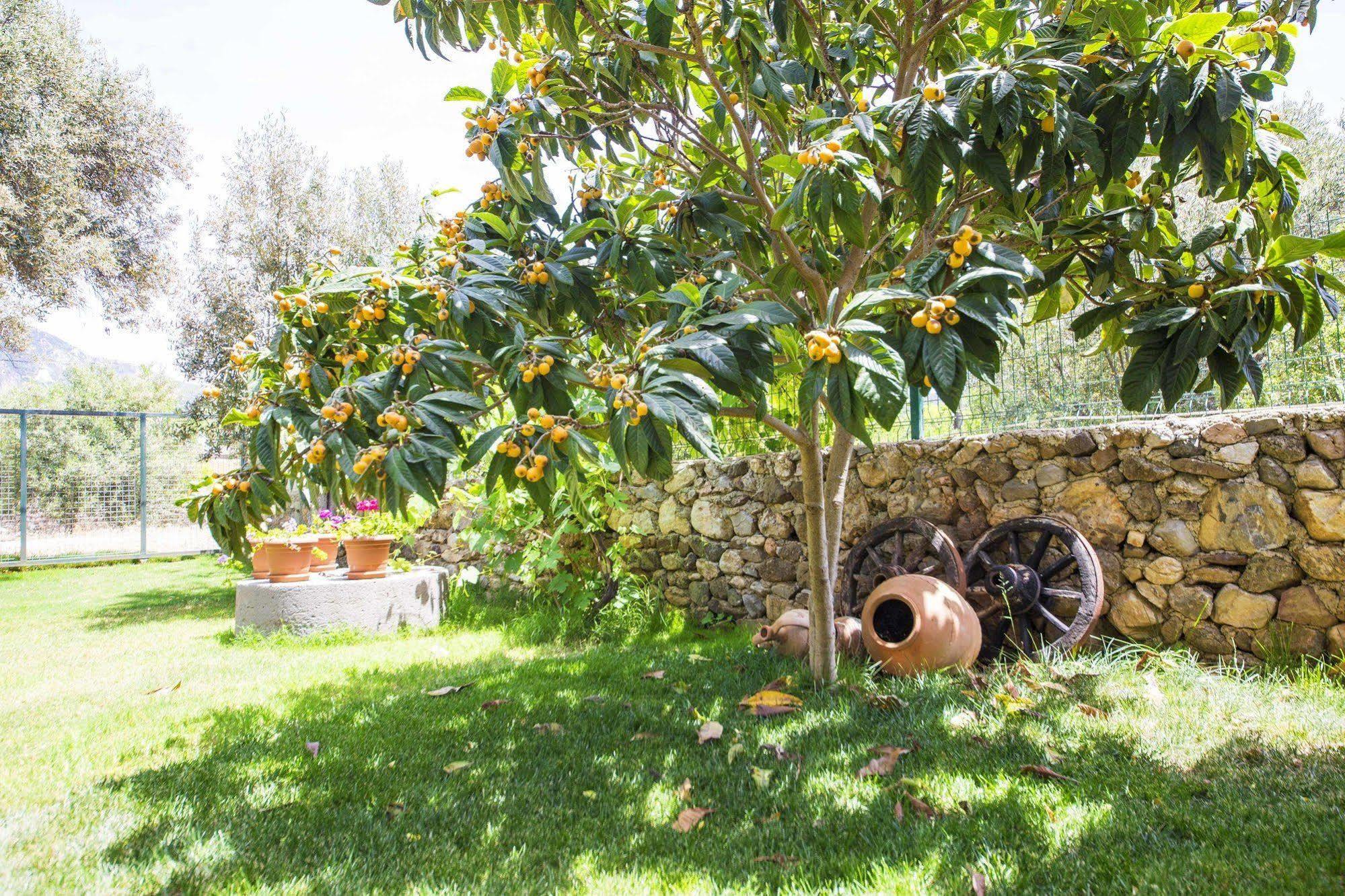 Bal Badem Bungalow Datça Ngoại thất bức ảnh